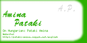 amina pataki business card